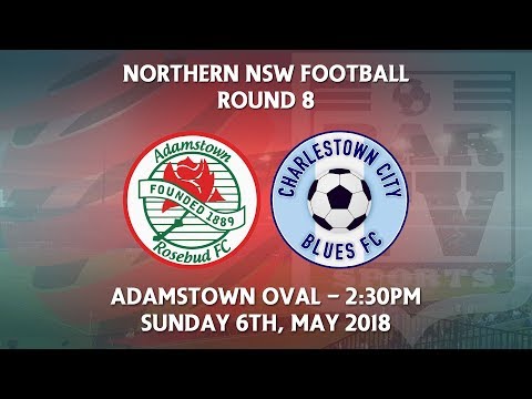 2018 NNSWF NPL Round 8 - Adamstown Rosebud FC v Charlestown City Blues