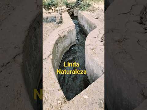 Río San Esteban, Quelepa, San Miguel