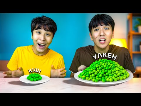 ҮЛКЕН немесе КІШІ ТАРЕЛКА! ЧЕЛЛЕНДЖ!