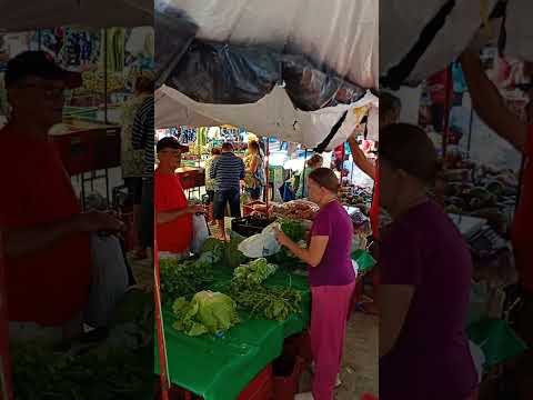 Feira de Carnaubal-Ce.
