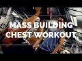 BUILDING MASS | Chest and Triceps ft. JP