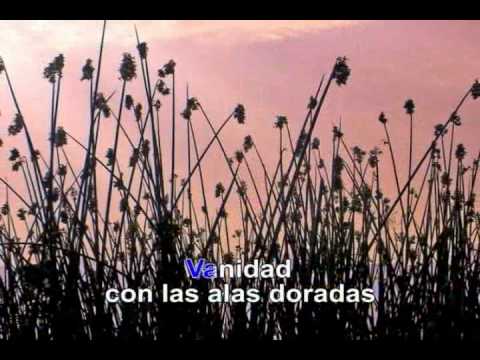 Vanidad - Yaco Monti