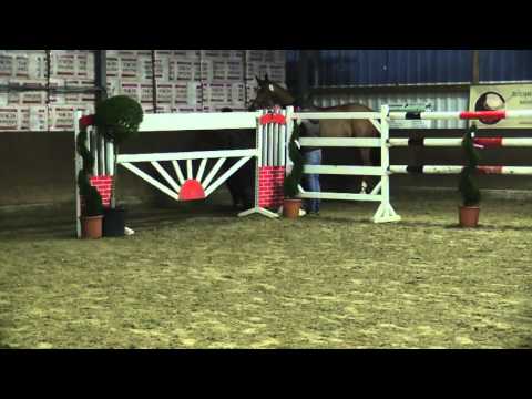 4j. Wallach von Los Angeles x Zorro