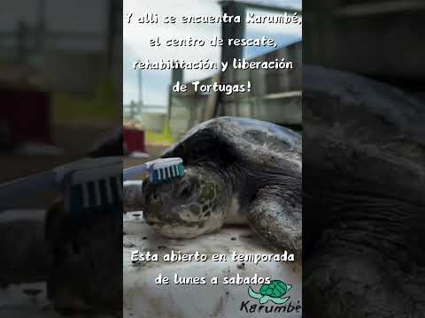 Alquilo Cabaña en Balneario La Coronilla / Rocha Uruguay