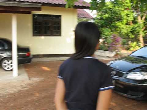 Five minutes into our 1st fateful drive-by encounter with Owen. March 11 2008. It was destined :)