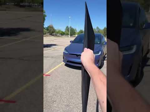 This is the perfect Tesla Model X accessory! 🤩