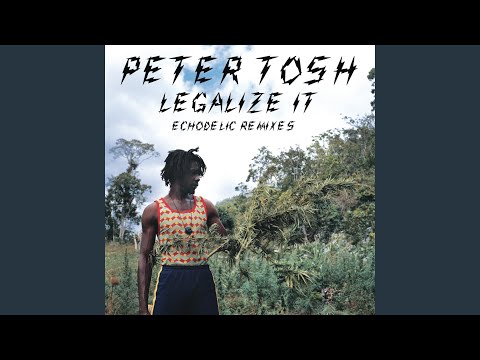 Legalize It (Secret Circuit's Echodelic Shockblast Mix)