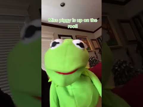 Kermit’s revenge 2