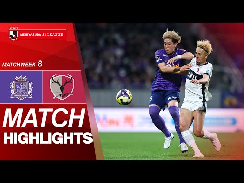 bg-highlight