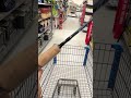 Best Walmart Fishing Rod And Reel