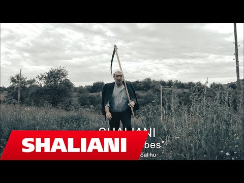 Shaliani - Mundi i Babes (Flow Music)