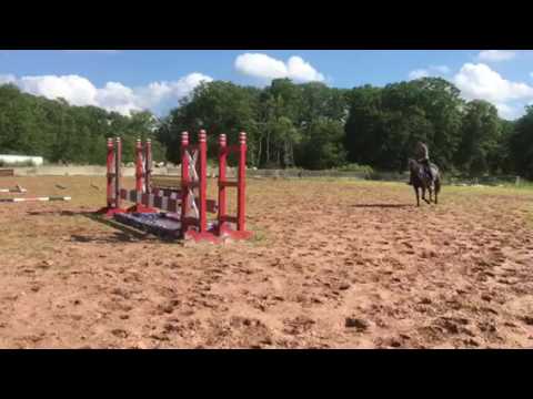 Esméralda 7/5/16 over fences