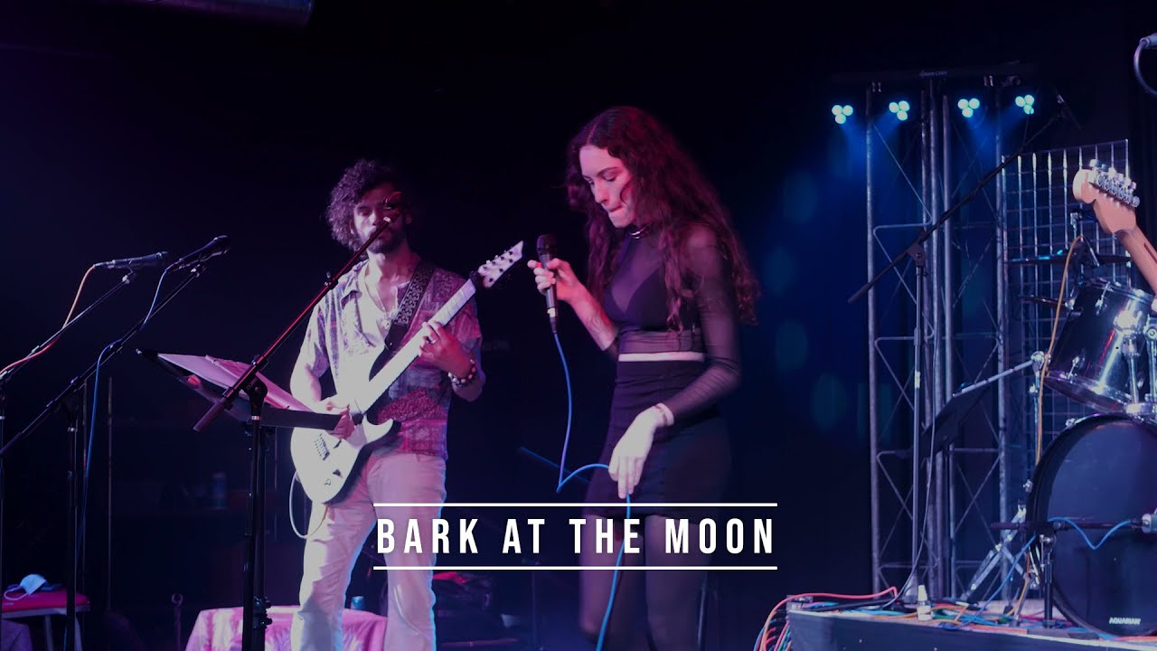 Promotional video thumbnail 4 for Nobody Special Band