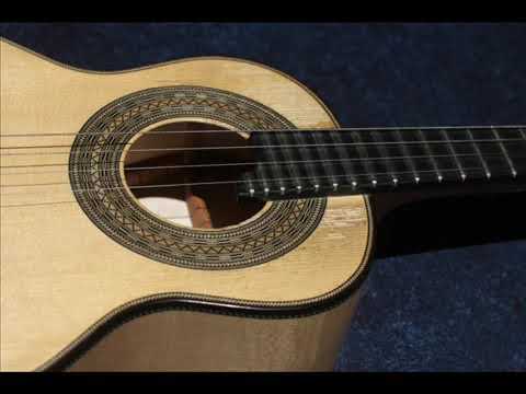 Timida tentacao video