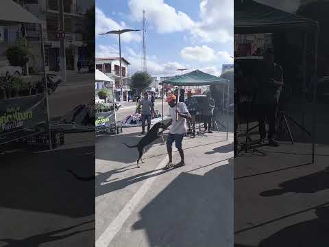 Feira agricultura familiar Madalena ce