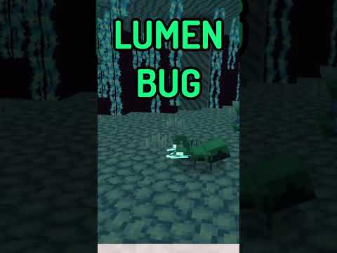 NEW Minecraft End Update: Lumen Forest Biome REVEALED!