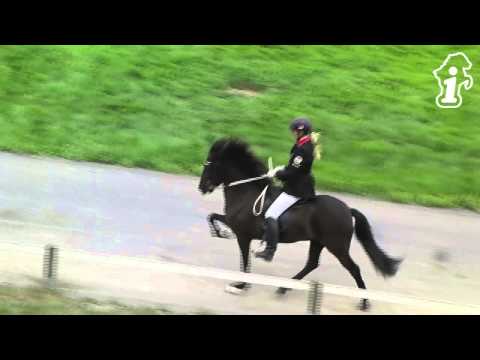 DIM 2013 - T2-VE Frauke Schenzel - www.isibless.de