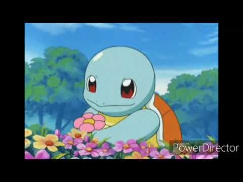 $oVery$ota - $QUIRTLE (Video)