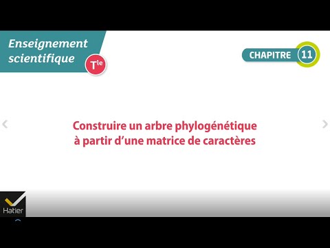 Enseignement scientifique Tle - Méthodes : comment construire un arbre phylogénétique