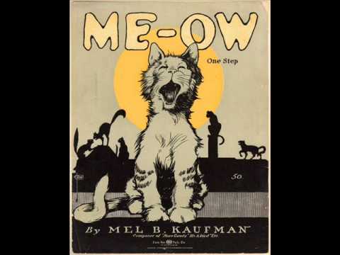 Joseph C. Smith's Orchestra - Me-ow One Step 1918 Cat Song