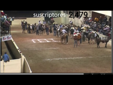 FINAL CALA, COLEADERO Y PIALADERO - 3ER  TORNEO DEL MILLON