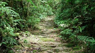 Ancient Stone Road From Atlantic Ocean To The Inca Capital Of Cusco