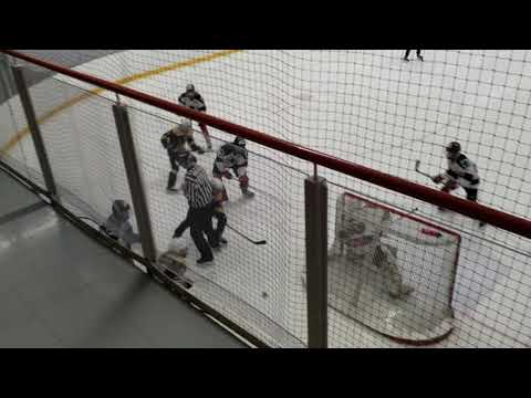 Ilves vs. Ässät 3-7