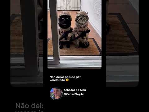 Não deixe pais de pet verem isso 😂 #shorts #gatos