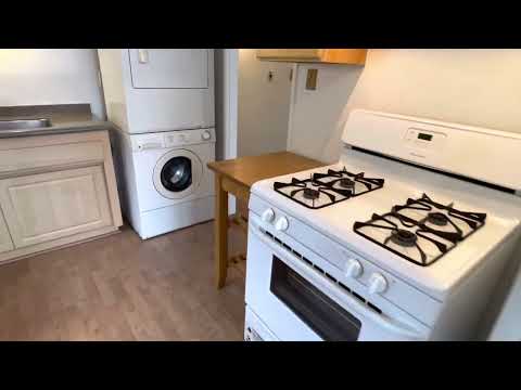 Rees - Video 2 of 2