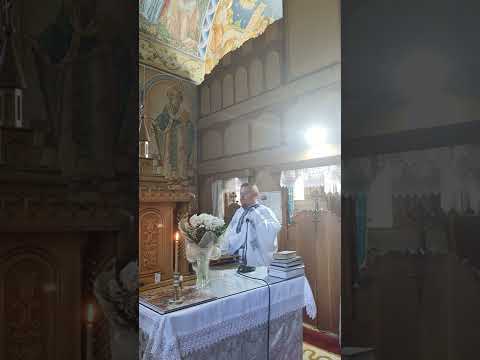 Sfânta Liturghie Biserica Ortodoxa Cosniciu de Jos 06.08.2022