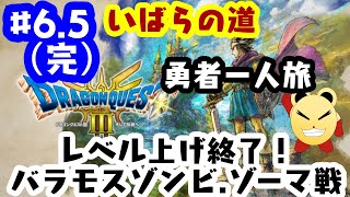 「ゲーム配信」#6,5（完）  いばらの道を勇者一人旅で駆け抜ける！「ドラクエ３リメイク」縛りプレイで実況生配信（ネタバレあり）