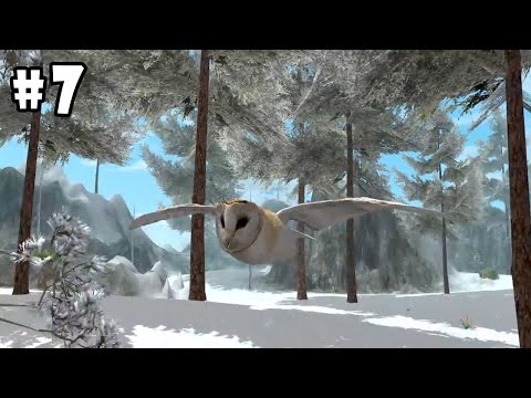 Ultimate Bird Simulator (by Gluten Free Games) Android Gameplay Part 7 [HD] - YouTube