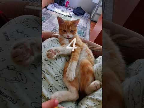 12 марта 2023 г.