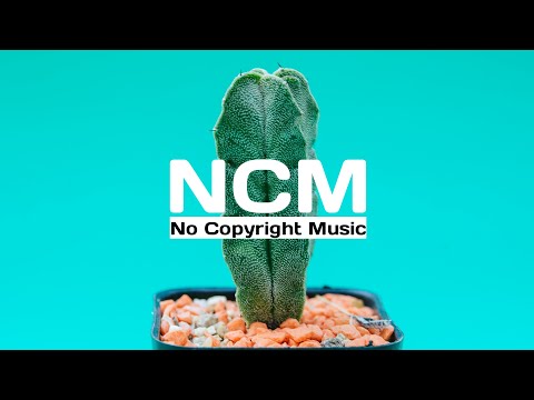 Don't Worry - Ikson (No Copyright Music) | Background Music No Copyright