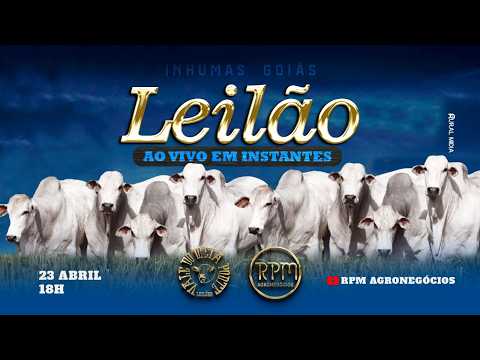 VALE DO MEIA PONTE LEILÕES - INHUMAS - LEILÃO VIRTUAL E PRESENCIAL - 23 DE ABRIL DE 2026.