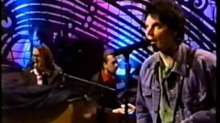Wilco - Can&#39;t Stand It - 1999 05 28