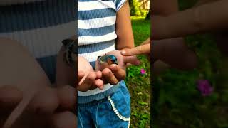 Download lagu Birds Of Russia mp3