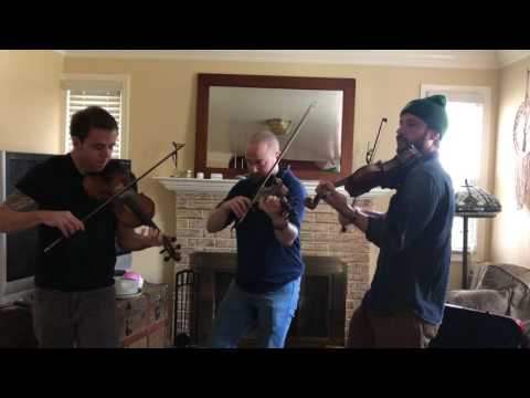 Fergal Scahill's fiddle tune a day 2017 - Day 48 - Julia Delaney's