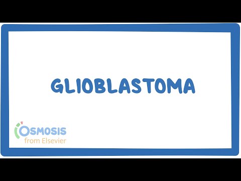 Understanding Glioblastomas: Symptoms, Treatment, and ...