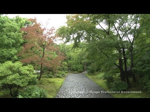 好古園（潮音斎と渡廊下）