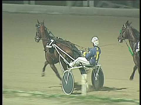 Trotto 24/11/2017 - 7ª corsa