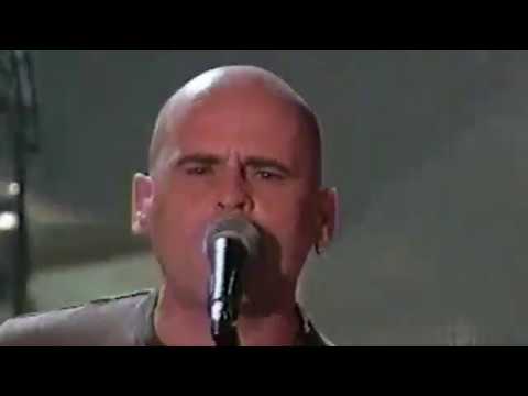 Vilain Pingouin - Le Train