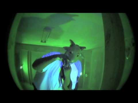 City Slick (Decay X Fluent) Llama Lasers feat. Maintenance Crew