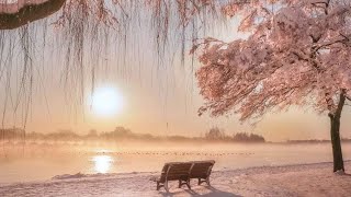 Se Que Te Irá Mejor - Marco Antonio Solís