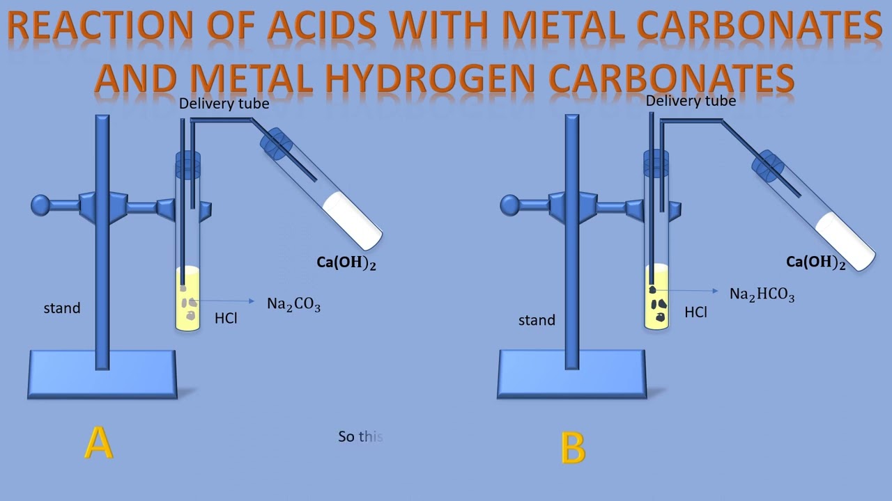 reaction of acids with metal carbonates and metal hydrogen carbonates acids bases and salts part 3