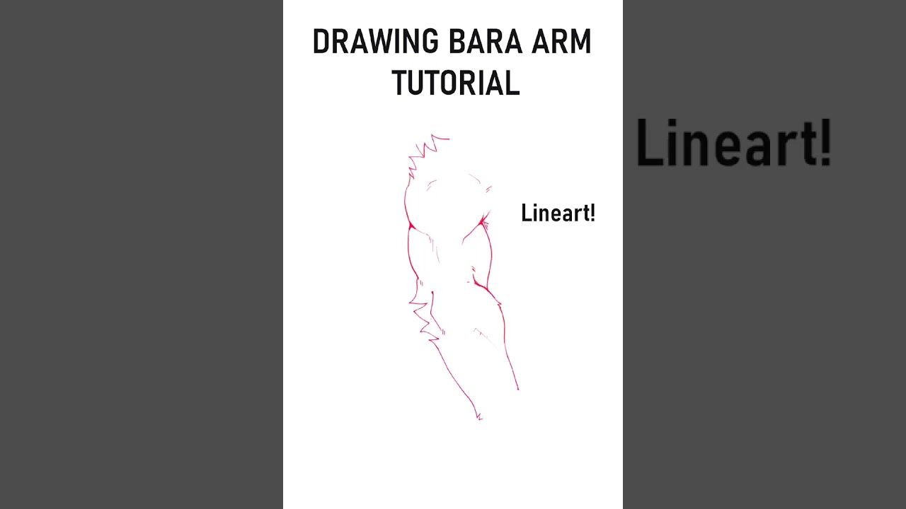 How to do Bara arms! #art #tutorial #arttutorial #furry #furryfandom #tips #arttips #learn