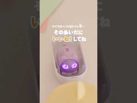 全問正解できるかな？マイクロペットクイズ　#マイクロペット #micropets #デジタル #かわいい #おもちゃ