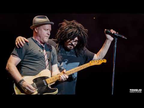 Angels of the Silences - Counting Crows Isolated Guitar