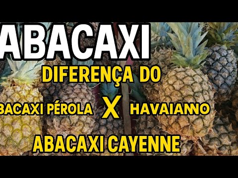 ABACAXI - DIFERENÇA DO ABACAXI PÉROLA X HAVAIANO , ABACAXI CAYENNE