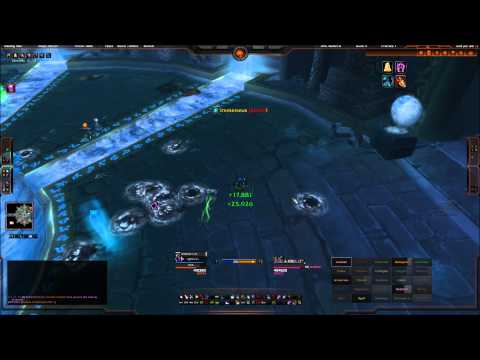 Immerseus PTR 25man normal